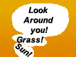 Look Around!