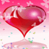 Love Shine