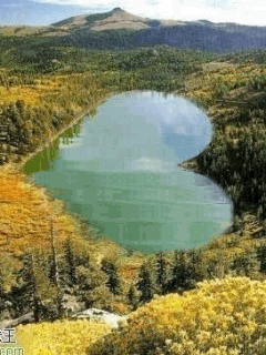 Heart Land