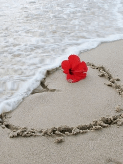 HeartWalk