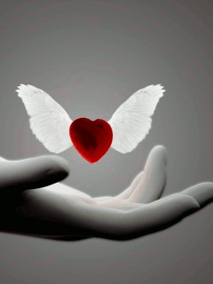 Set your heart free with forgiveness!
