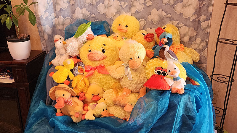 Ducks in Waiting