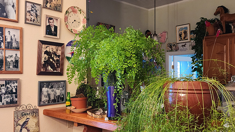 Green Friends Altars