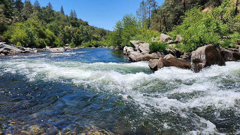 River Free!