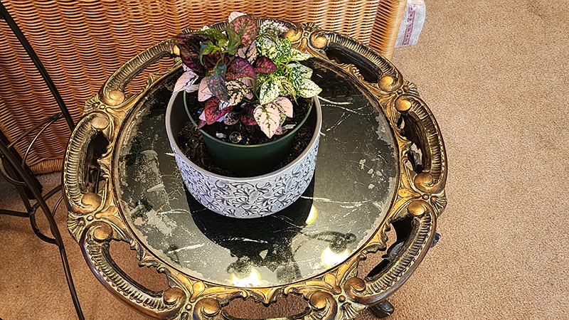 New Simple Altar