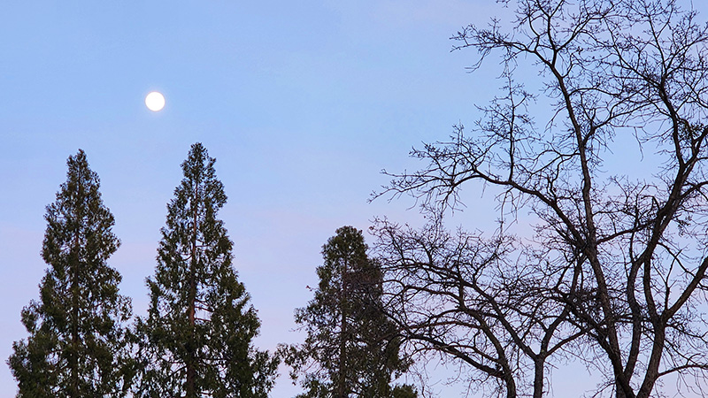 Full Snow Moon Full Snow Moon