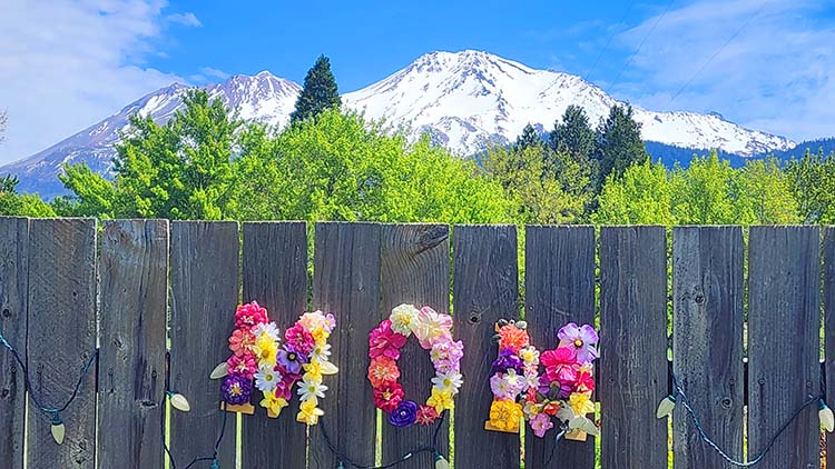 Mnt Shasta Mnt Shasta Mother