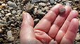 Hands