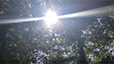 Light
