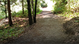 Steps