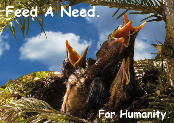 Feed A Need Feed A Need